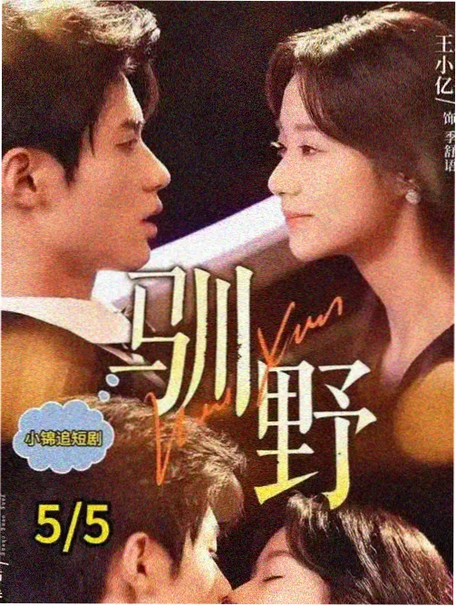 旧城档案纪实剧集封面